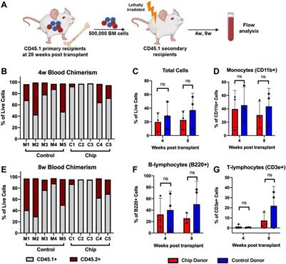 Bone Marrow Microenvironment-On-Chip for Culture of Functional Hematopoietic Stem Cells